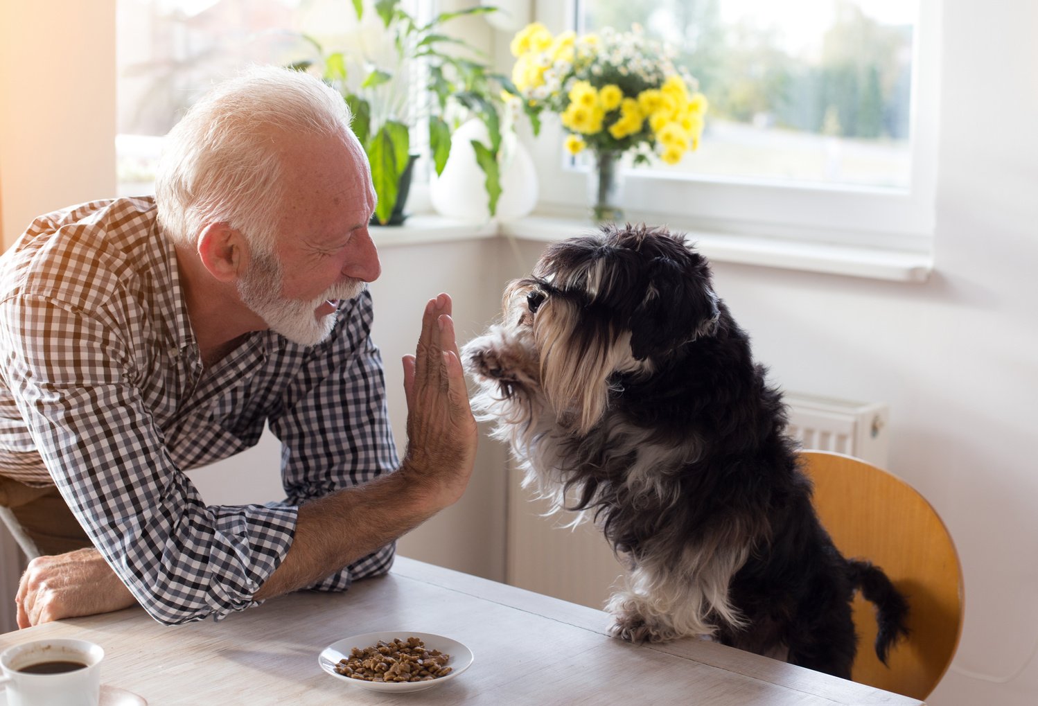 Senior man with dog