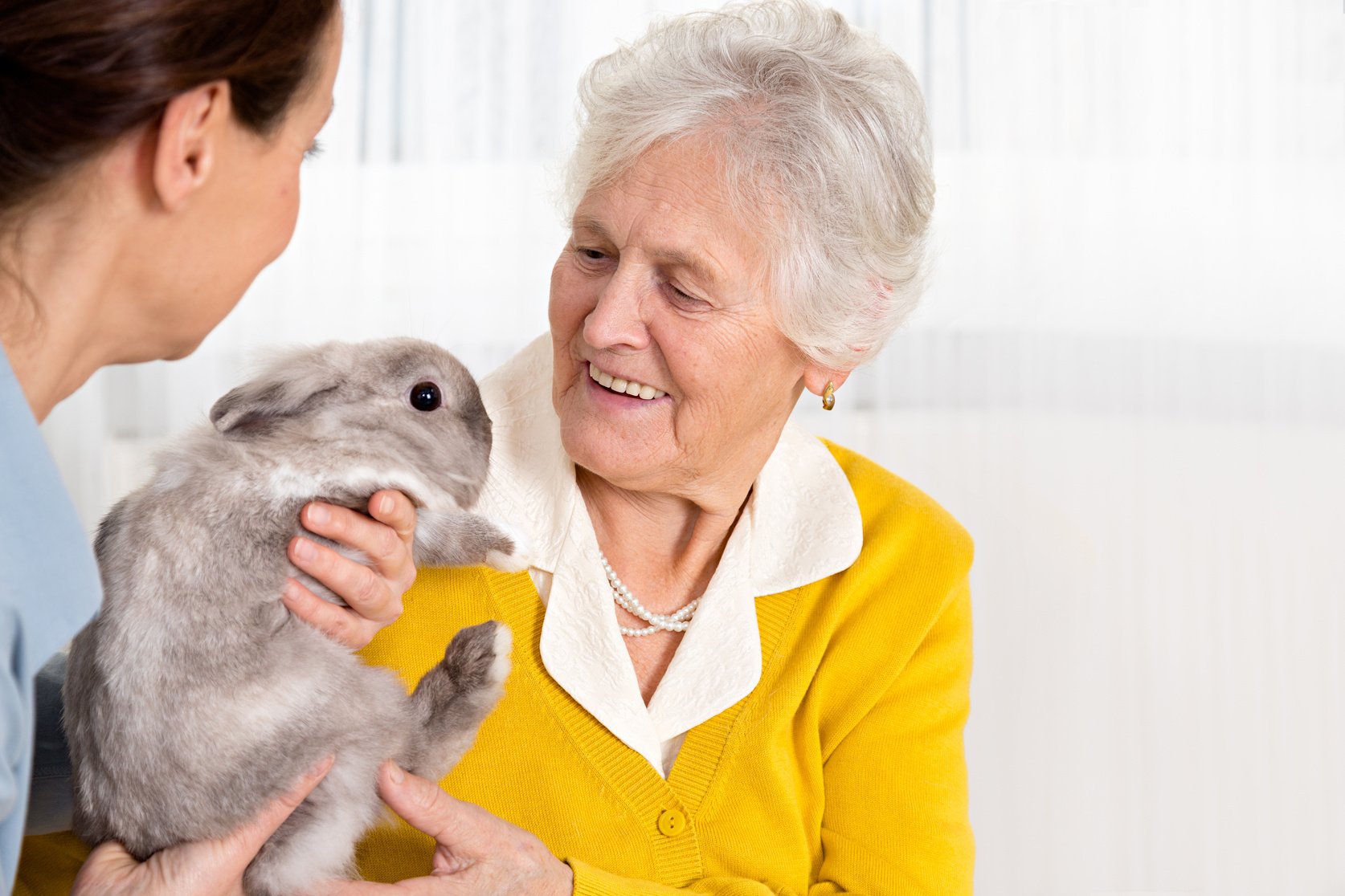 Pet Therapy – Senior woman with rabbit