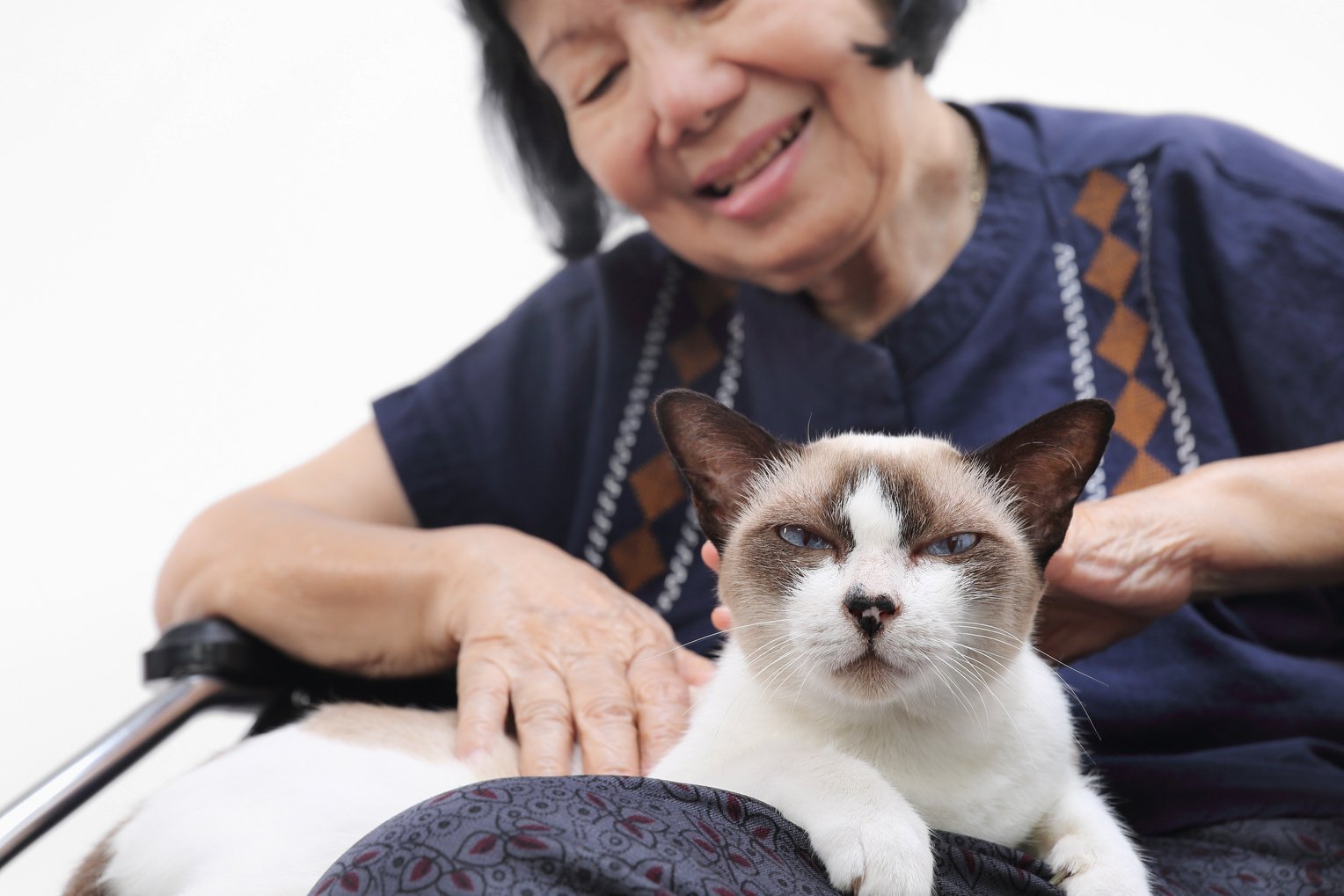 Elderly Woman Petting Cat 