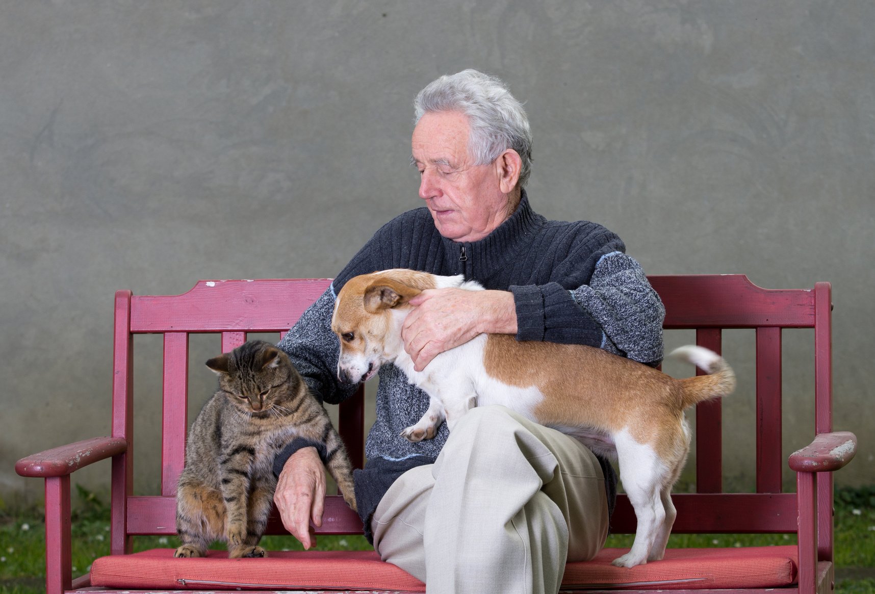 Senior man with cat and dog